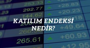 Katılım endeksi nedir, katılım endeksine uygun hisseler hangileri