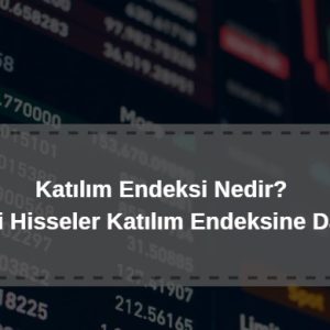 katılım endeksi nedir, hangi hisseler katılım endeksine dahil olabilir