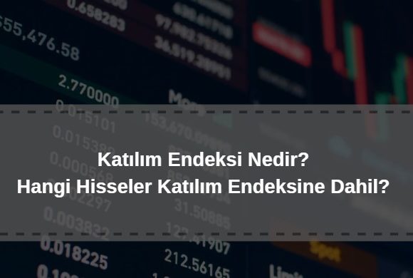 katılım endeksi nedir, hangi hisseler katılım endeksine dahil olabilir