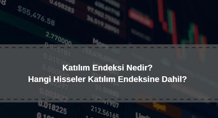 katılım endeksi nedir, hangi hisseler katılım endeksine dahil olabilir