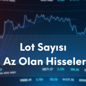 lot sayısı az olan hisseler riskler ve avantajlar